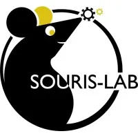 SOURIS - LAB logo