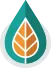 FOSSE CORINNE logo