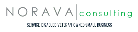 NORAVA logo