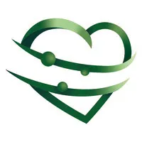 OPEN STENT SOLUTION logo