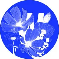 WHAT ABOUT MOTION ? logo