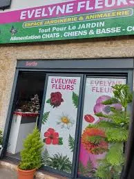 S.A.S.U EVELYNE FLEURS logo