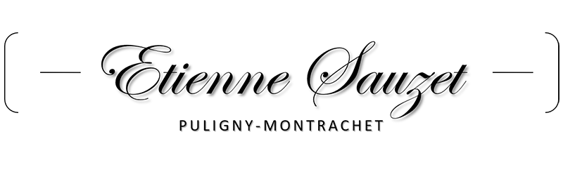 ETIENNE SAUZET logo