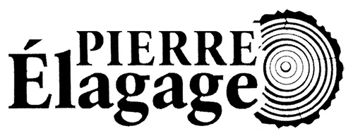 PIERRE ELAGAGE logo