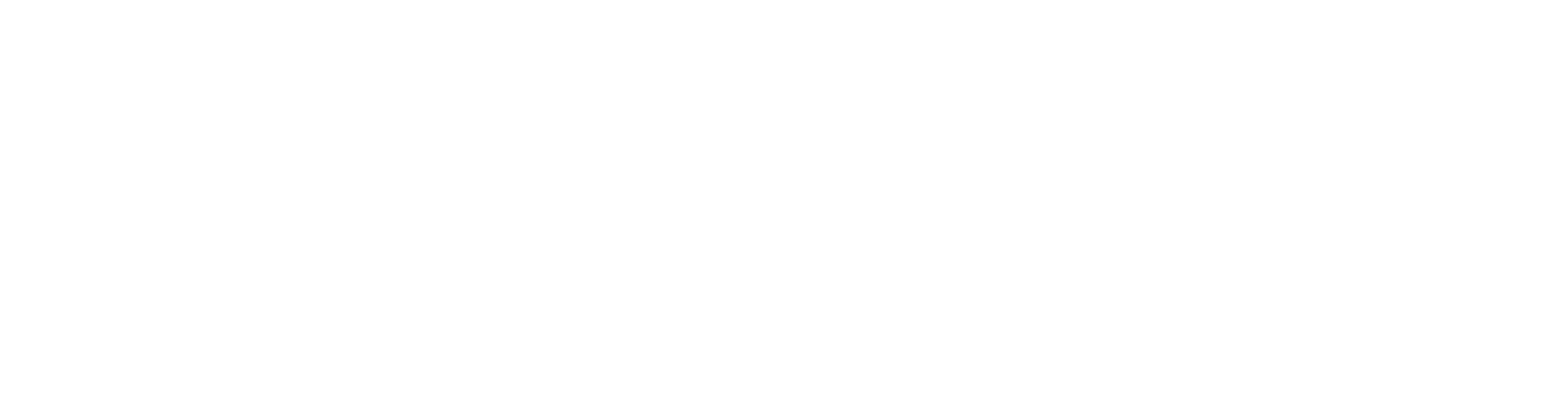 ECO SOLAR PRO logo