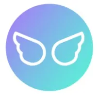 HANDIROAD logo