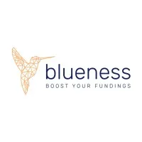 BLUENESS logo