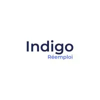 INDIGO logo