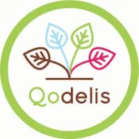 QODELIS logo