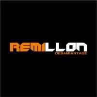 REMILLON DESAMIANTAGE logo