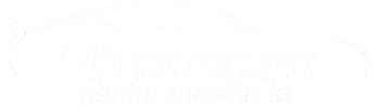 BLR AUTO logo