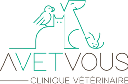 AVETVOUS logo