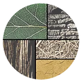 DAIGREMONT CAMILLE logo