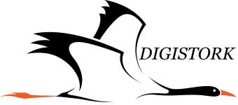 DIGISTORK logo