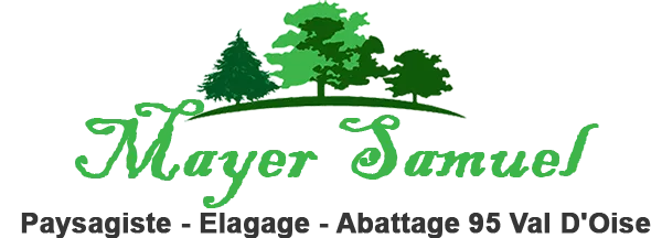 MAYER SAMUEL logo