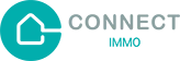 CONNECT IMMO 19 logo