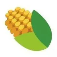GUAYOYO logo