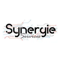 SYNERGIE SERVICES logo