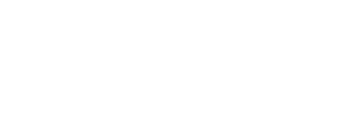 DESKIDI logo