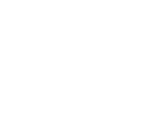 PAUL ANTOINE logo