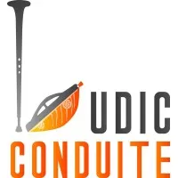 LUDIC CONDUITE logo