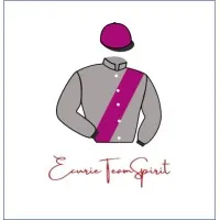 ECURIE TEAM SPIRIT logo