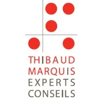 TM EXPERTS CONSEILS logo