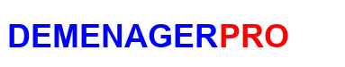 DEMENAGERPRO logo