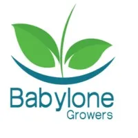 BABYLONE GROWERS INTERNATIONAL logo