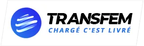 TRANSFEM logo