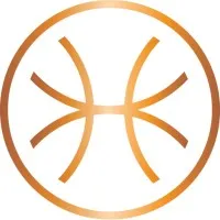 HOLISTI logo