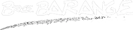 BRICE BARANGE EVENTS logo