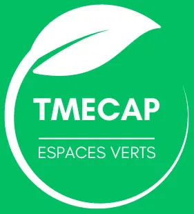 TMECAP logo