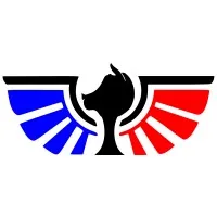 FLYING PIGS SOLUTIONS logo