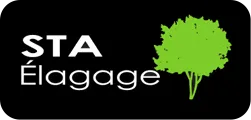 STA logo