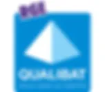 SAS BARTY BOIS logo