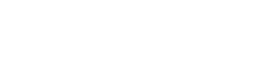 PIECES AUTO DU SORNIN logo