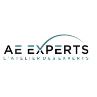 AE EXPERTS logo