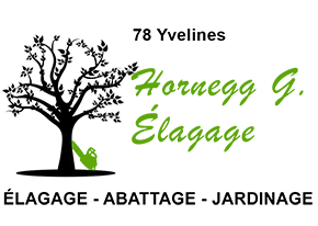 HORNEGG GINO logo