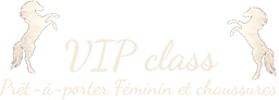 VIP CLASS logo