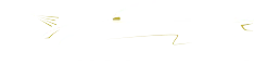 BALDUCCI AUTOS logo