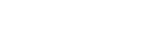 EVOLOG CONSULTING logo
