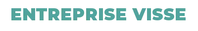 ENTREPRISE VISSE logo