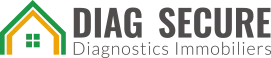 DIAG SECURE logo
