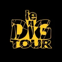 DIG logo