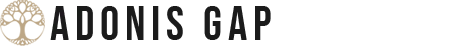 Voici le logo de la marque ADONIS GAP qui représente son identité graphique.