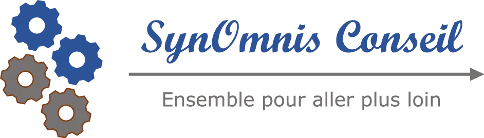 SYNOMNIS CONSEIL logo