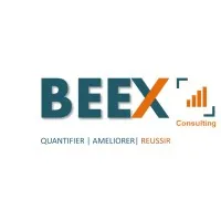 BEEX CONSULTING logo