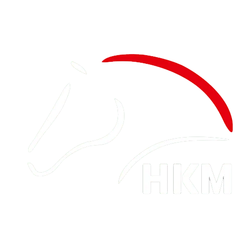 HORSE RIDER logo