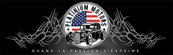 PLATINIUM MOTORS logo